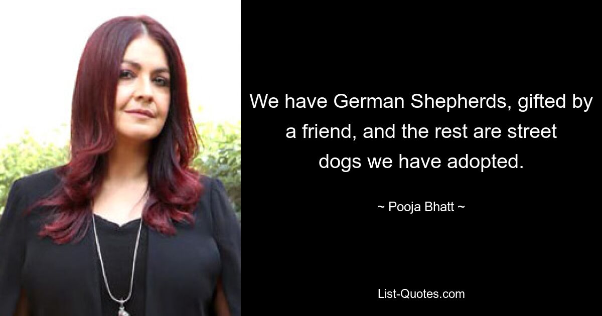 We have German Shepherds, gifted by a friend, and the rest are street dogs we have adopted. — © Pooja Bhatt