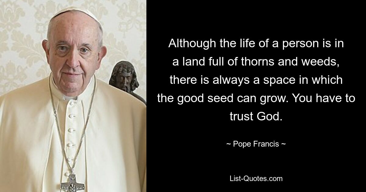 Although the life of a person is in a land full of thorns and weeds, there is always a space in which the good seed can grow. You have to trust God. — © Pope Francis