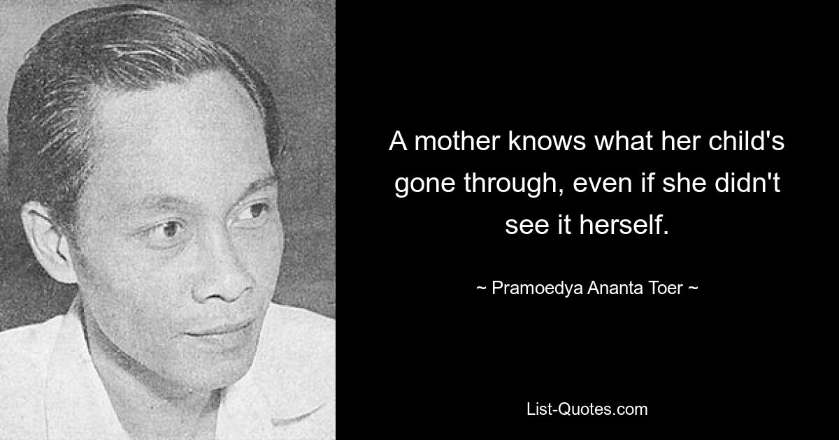 A mother knows what her child's gone through, even if she didn't see it herself. — © Pramoedya Ananta Toer