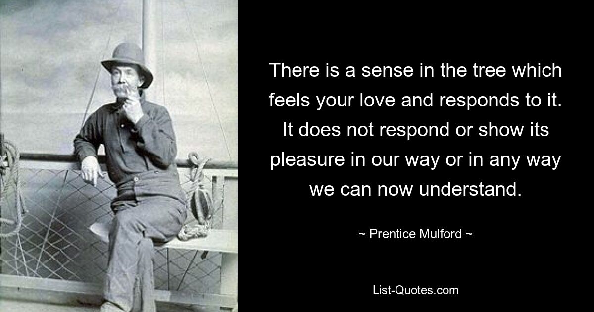 There is a sense in the tree which feels your love and responds to it. It does not respond or show its pleasure in our way or in any way we can now understand. — © Prentice Mulford