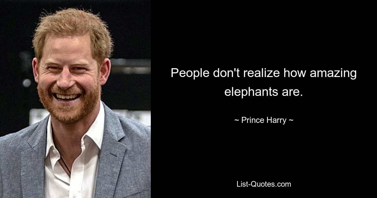 People don't realize how amazing elephants are. — © Prince Harry