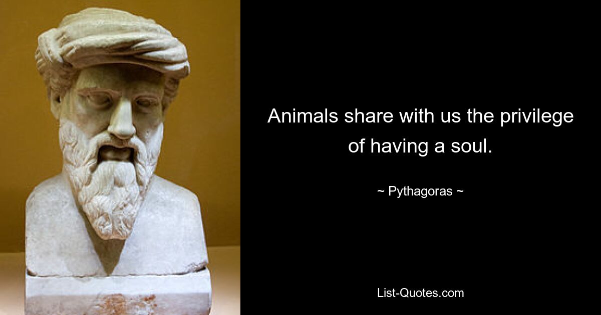 Animals share with us the privilege of having a soul. — © Pythagoras