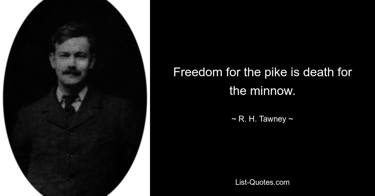 Freedom for the pike is death for the minnow. — © R. H. Tawney