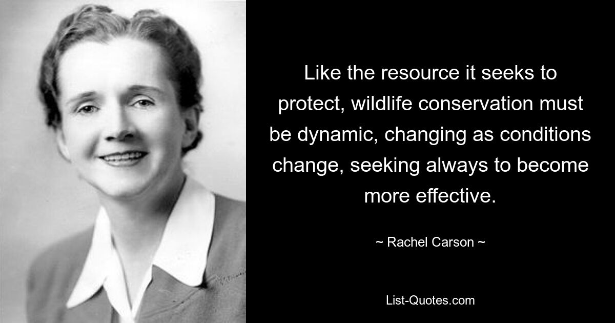 Like the resource it seeks to protect, wildlife conservation must be dynamic, changing as conditions change, seeking always to become more effective. — © Rachel Carson