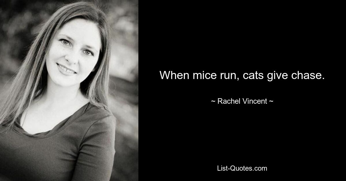 When mice run, cats give chase. — © Rachel Vincent