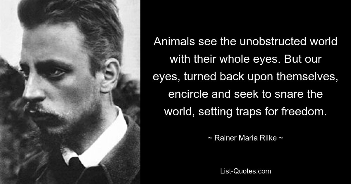 Animals see the unobstructed world with their whole eyes. But our eyes, turned back upon themselves, encircle and seek to snare the world, setting traps for freedom. — © Rainer Maria Rilke