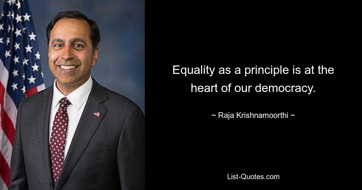 Equality as a principle is at the heart of our democracy. — © Raja Krishnamoorthi