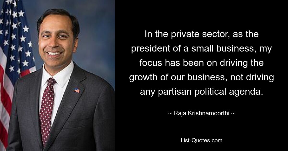 In the private sector, as the president of a small business, my focus has been on driving the growth of our business, not driving any partisan political agenda. — © Raja Krishnamoorthi