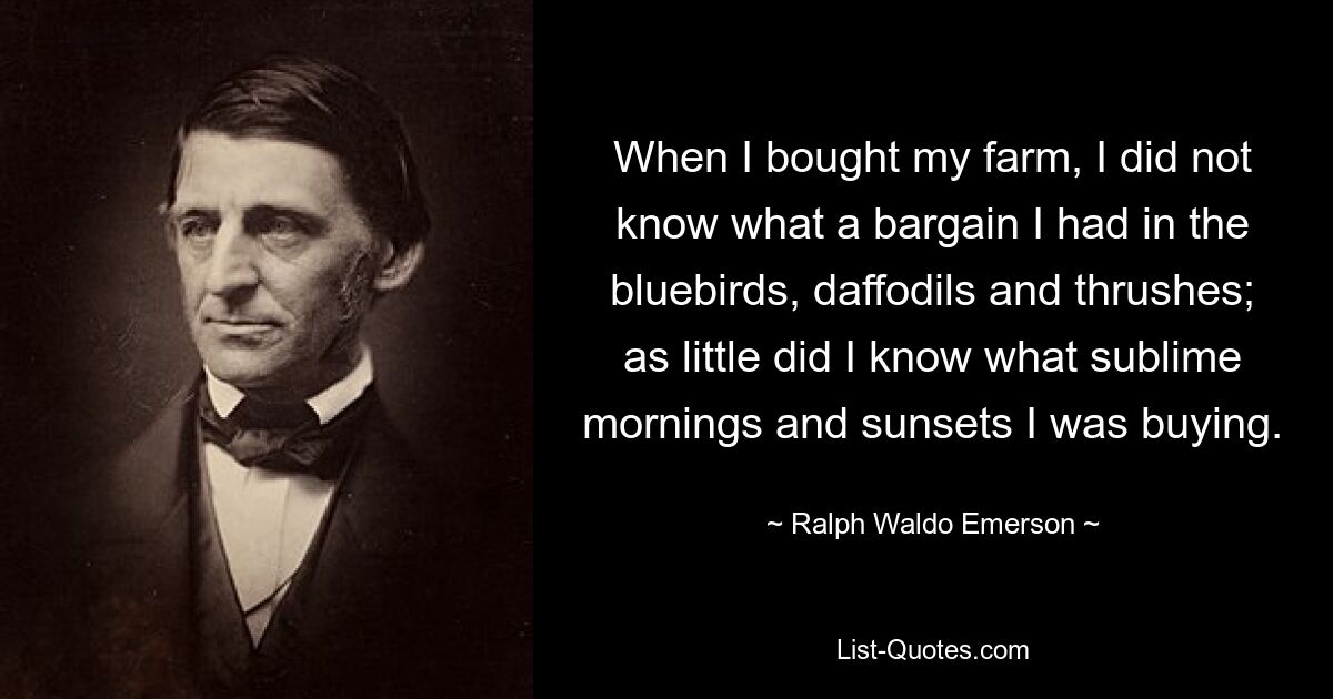 When I bought my farm, I did not know what a bargain I had in the bluebirds, daffodils and thrushes; as little did I know what sublime mornings and sunsets I was buying. — © Ralph Waldo Emerson