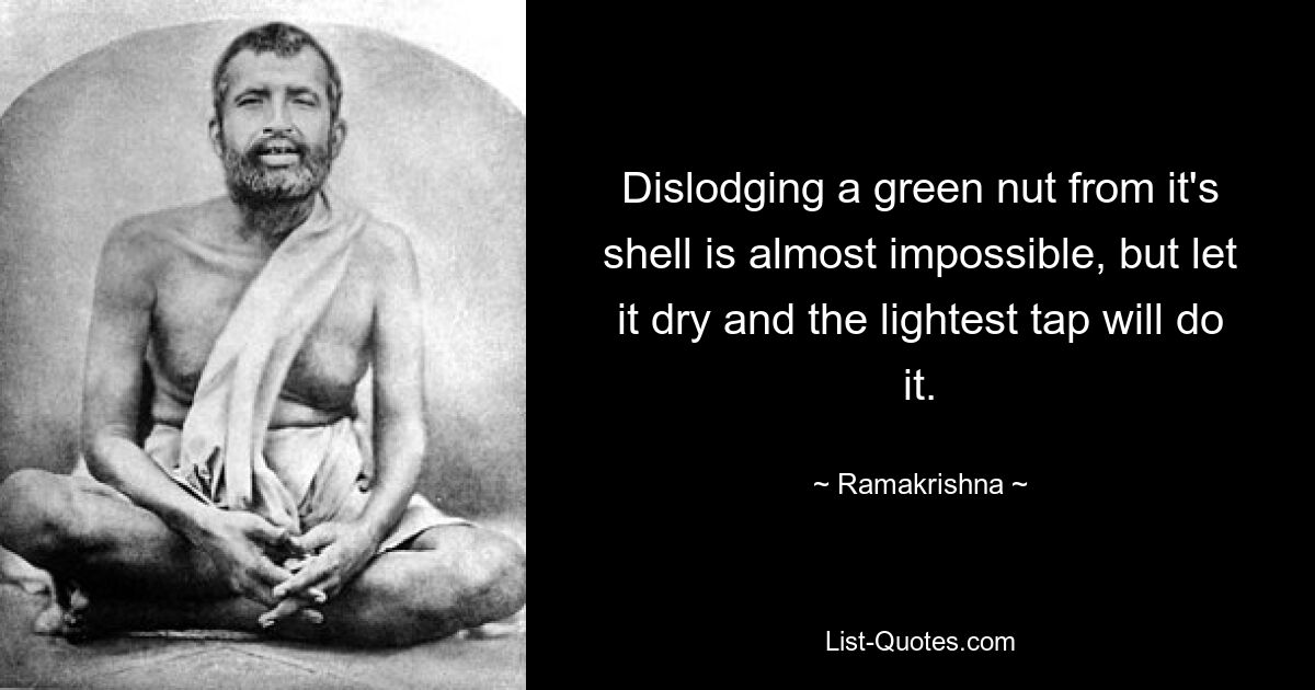 Dislodging a green nut from it's shell is almost impossible, but let it dry and the lightest tap will do it. — © Ramakrishna