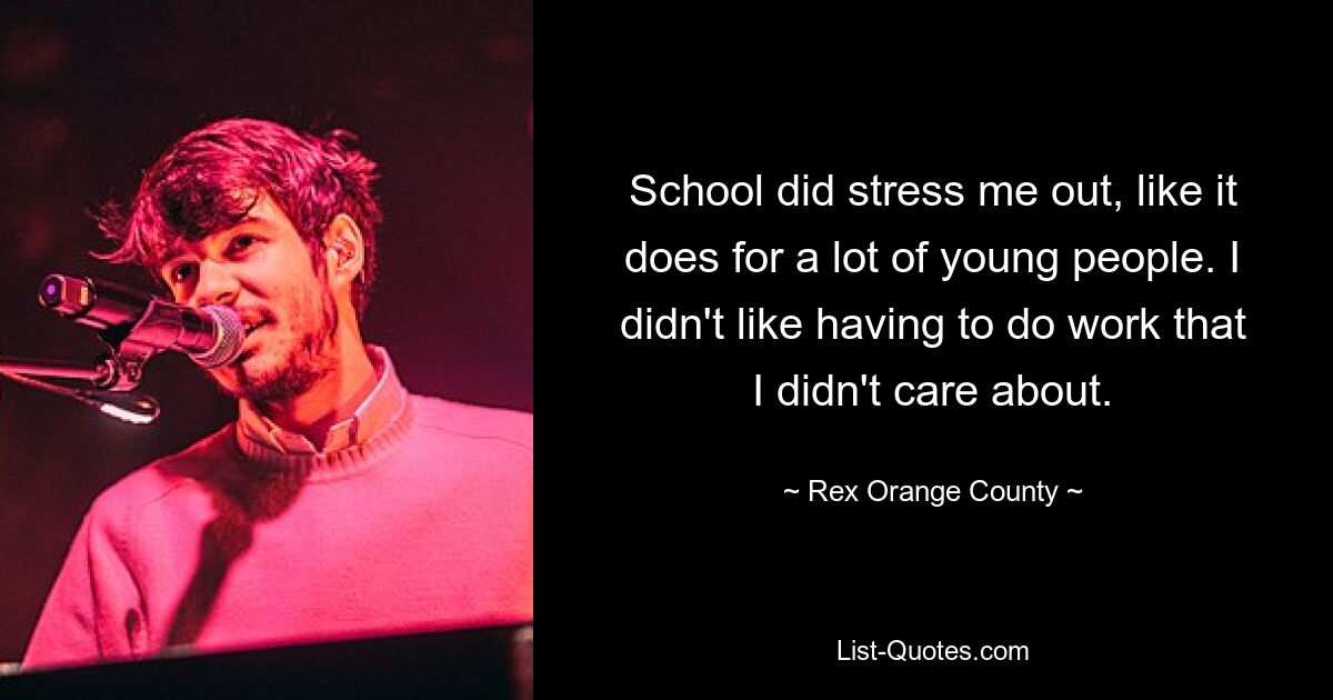 School did stress me out, like it does for a lot of young people. I didn't like having to do work that I didn't care about. — © Rex Orange County