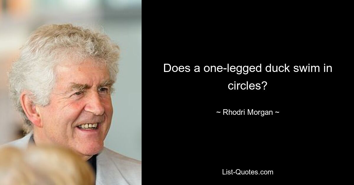 Does a one-legged duck swim in circles? — © Rhodri Morgan