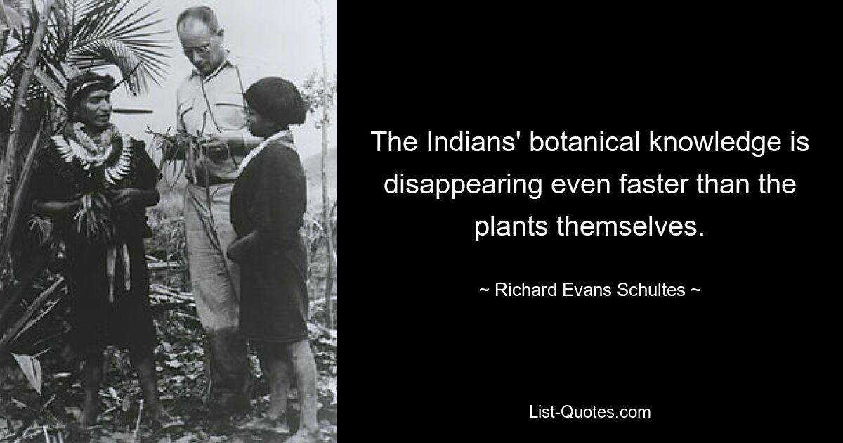 The Indians' botanical knowledge is disappearing even faster than the plants themselves. — © Richard Evans Schultes