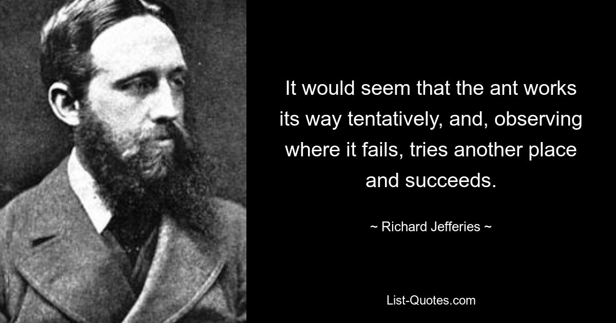 It would seem that the ant works its way tentatively, and, observing where it fails, tries another place and succeeds. — © Richard Jefferies