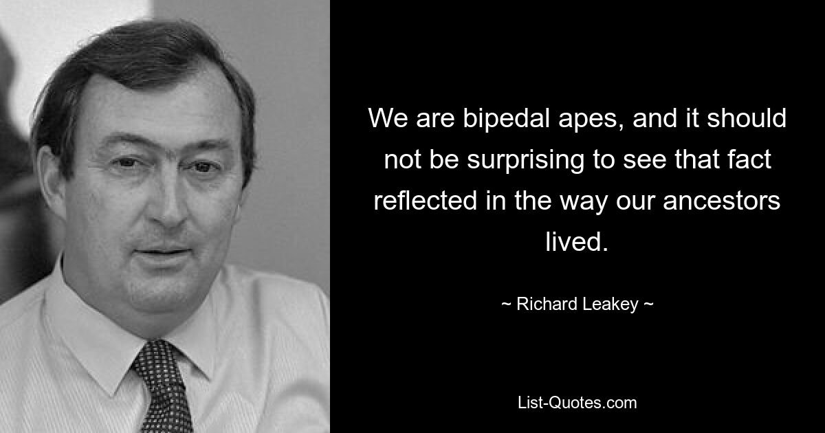 We are bipedal apes, and it should not be surprising to see that fact reflected in the way our ancestors lived. — © Richard Leakey