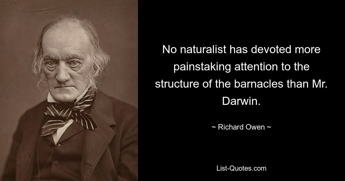 No naturalist has devoted more painstaking attention to the structure of the barnacles than Mr. Darwin. — © Richard Owen