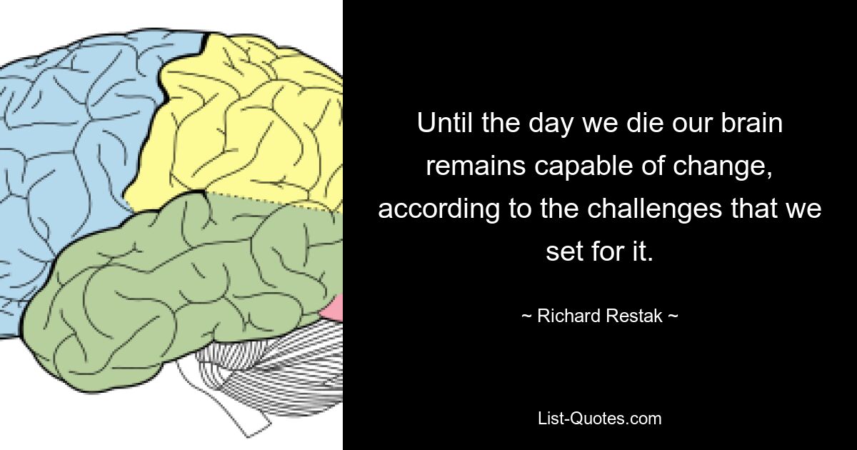 Until the day we die our brain remains capable of change, according to the challenges that we set for it. — © Richard Restak