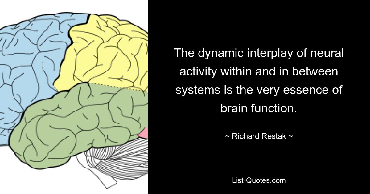 The dynamic interplay of neural activity within and in between systems is the very essence of brain function. — © Richard Restak