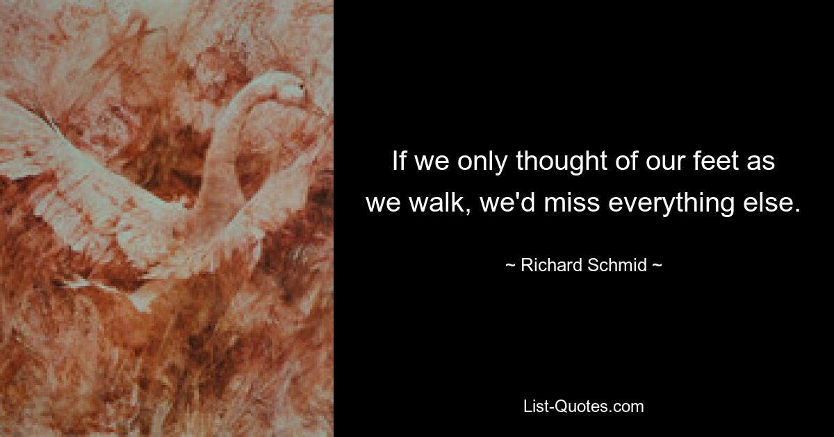 If we only thought of our feet as we walk, we'd miss everything else. — © Richard Schmid