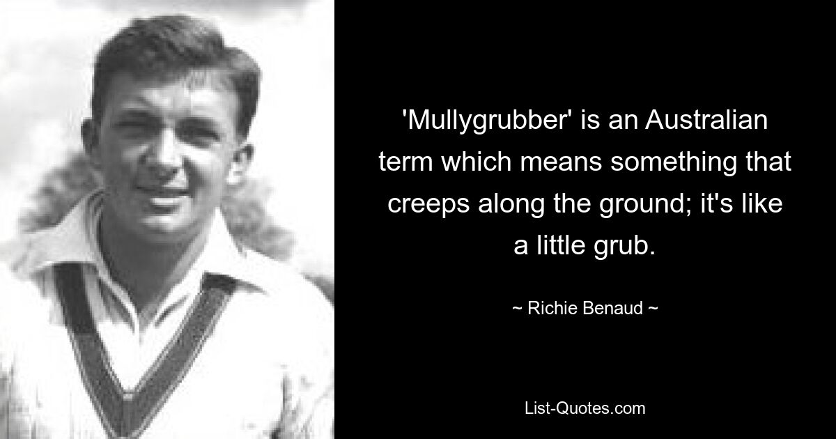 'Mullygrubber' is an Australian term which means something that creeps along the ground; it's like a little grub. — © Richie Benaud