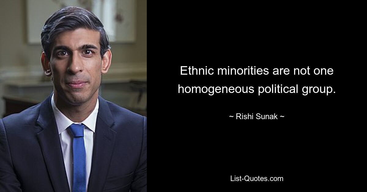 Ethnic minorities are not one homogeneous political group. — © Rishi Sunak