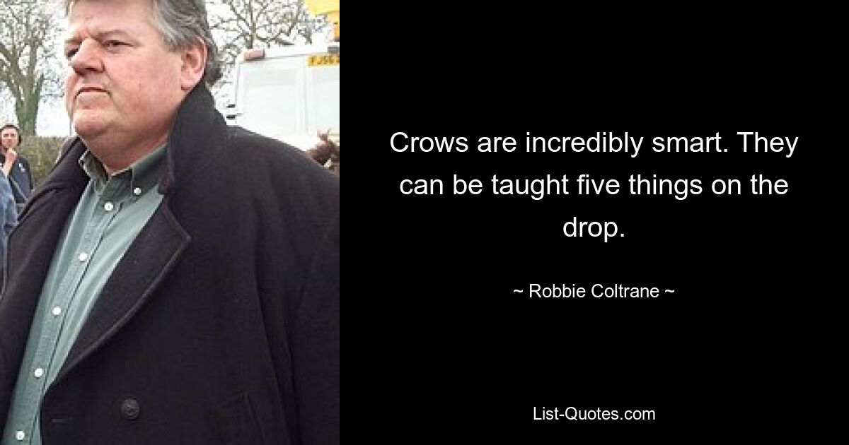 Crows are incredibly smart. They can be taught five things on the drop. — © Robbie Coltrane