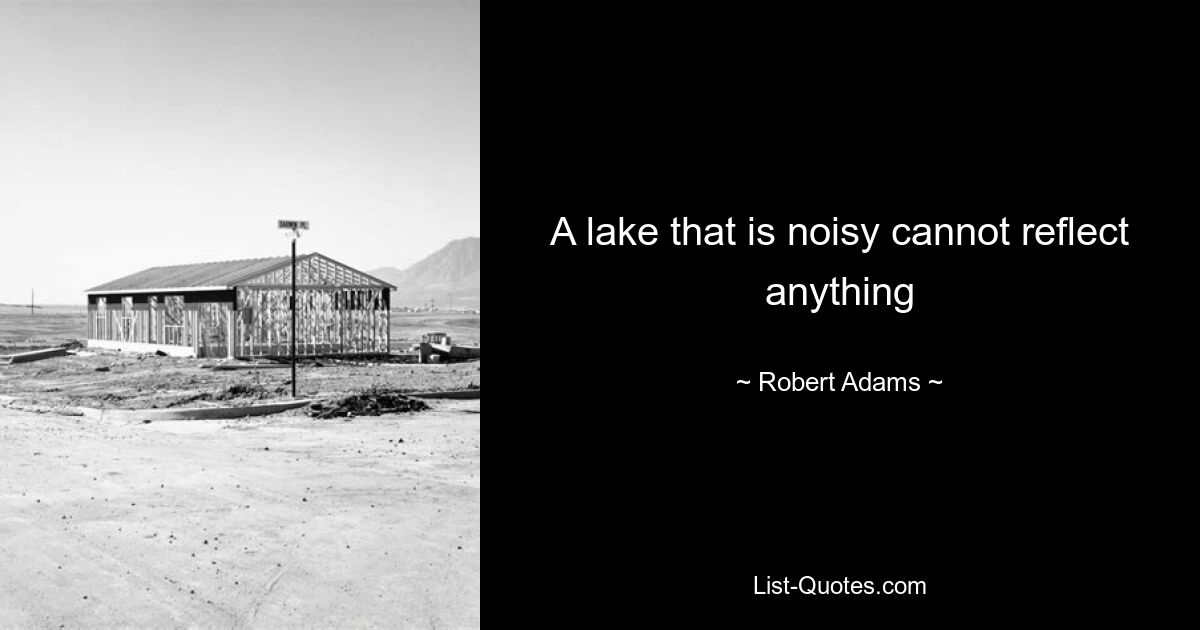 A lake that is noisy cannot reflect anything — © Robert Adams