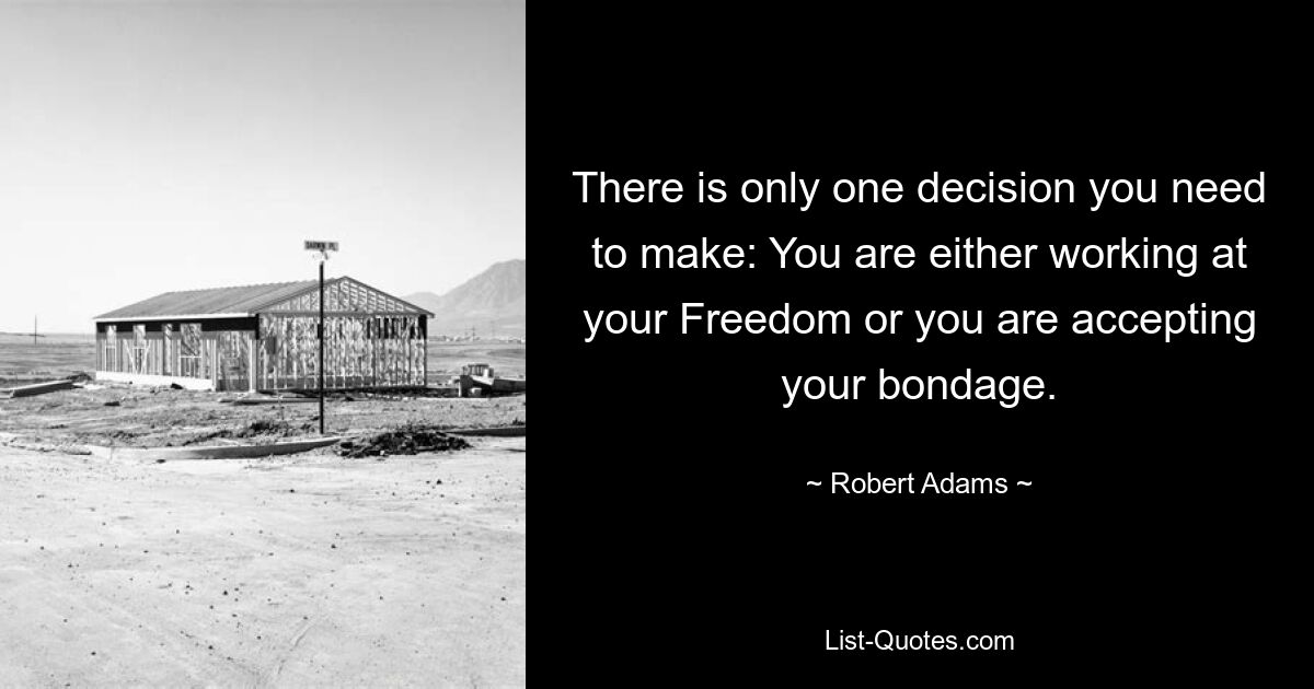 There is only one decision you need to make: You are either working at your Freedom or you are accepting your bondage. — © Robert Adams