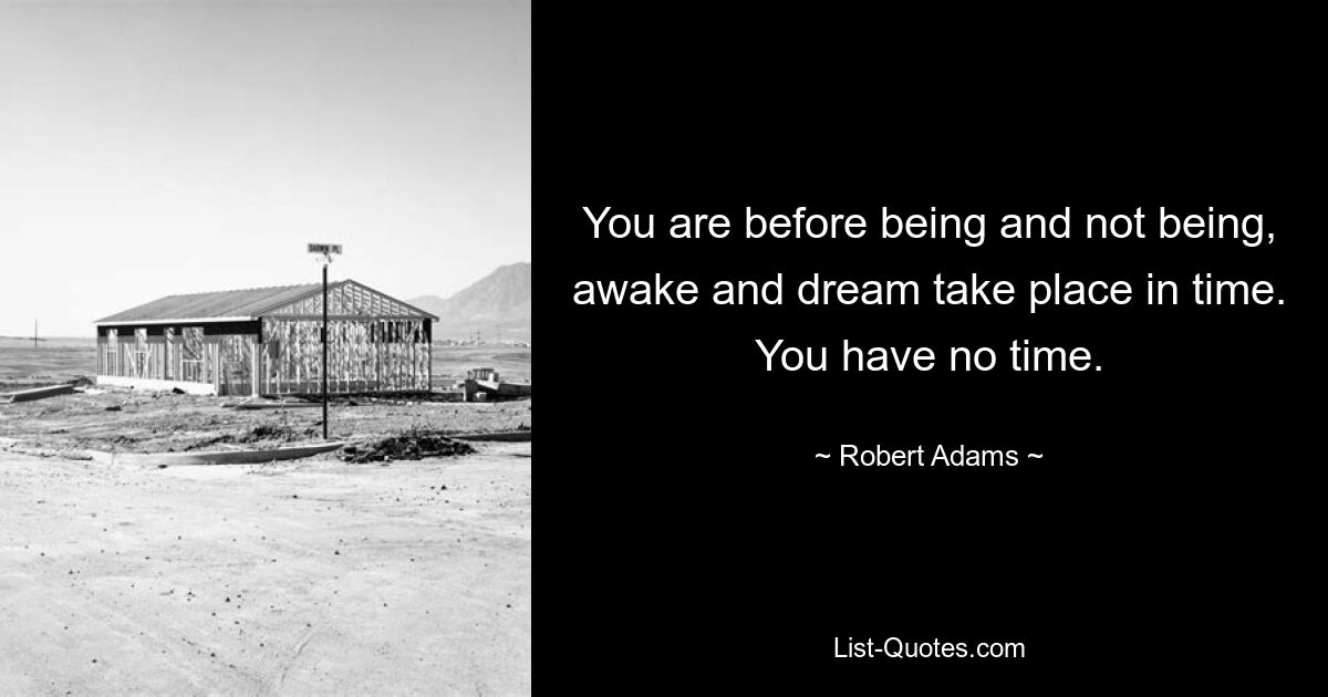 You are before being and not being, awake and dream take place in time. You have no time. — © Robert Adams