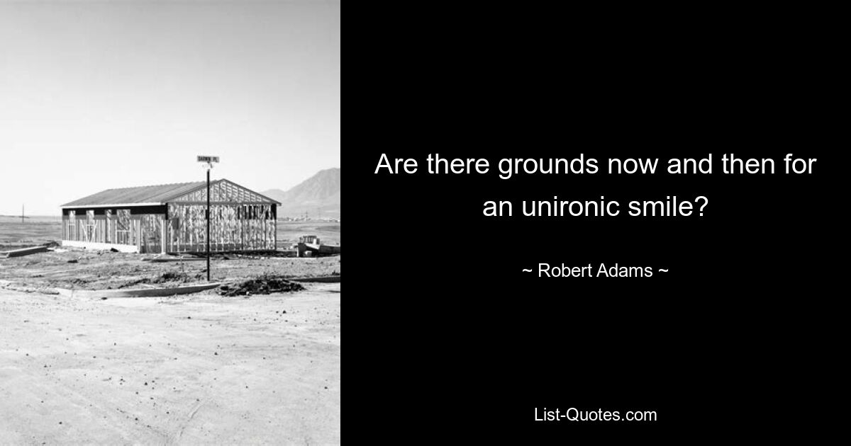 Are there grounds now and then for an unironic smile? — © Robert Adams