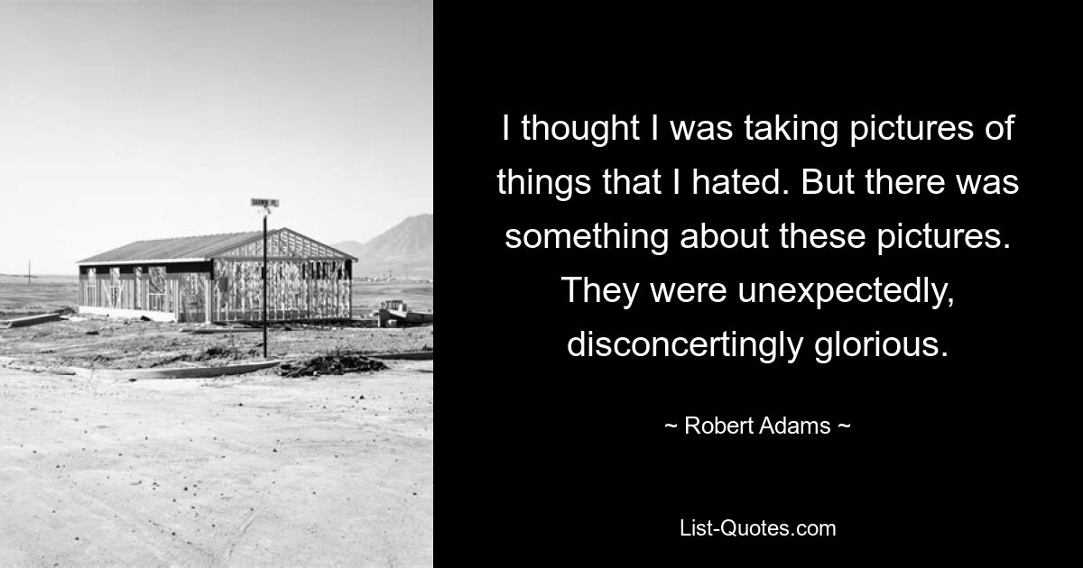 I thought I was taking pictures of things that I hated. But there was something about these pictures. They were unexpectedly, disconcertingly glorious. — © Robert Adams