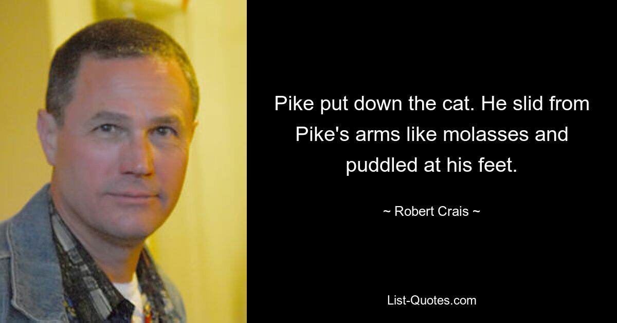 Pike put down the cat. He slid from Pike's arms like molasses and puddled at his feet. — © Robert Crais