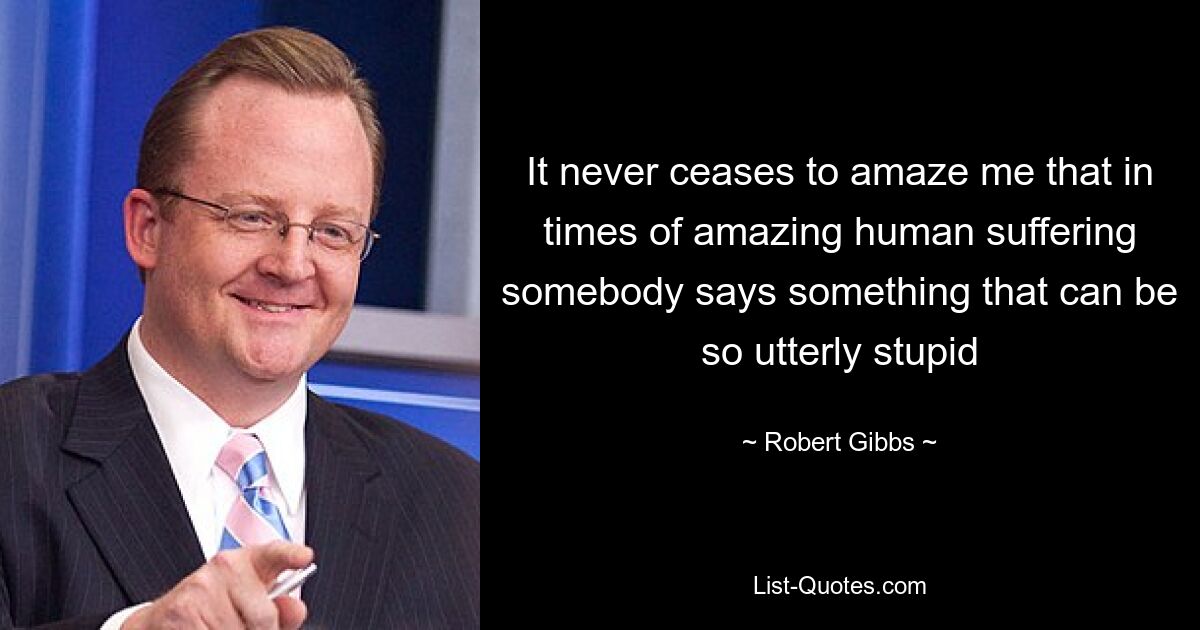 It never ceases to amaze me that in times of amazing human suffering somebody says something that can be so utterly stupid — © Robert Gibbs