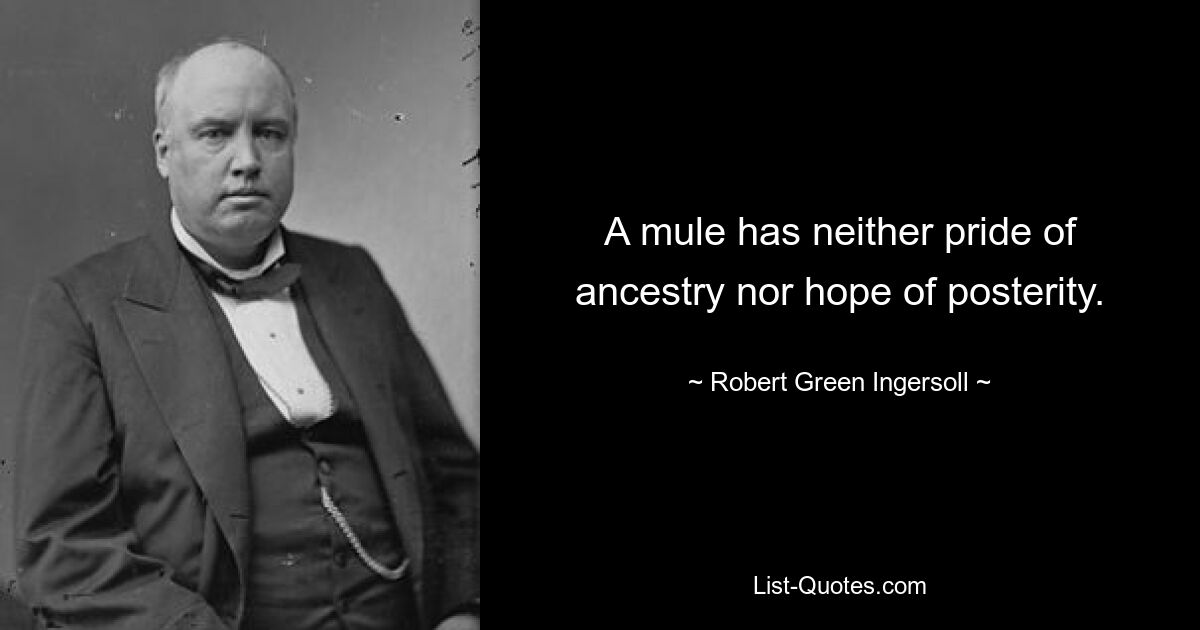 A mule has neither pride of ancestry nor hope of posterity. — © Robert Green Ingersoll