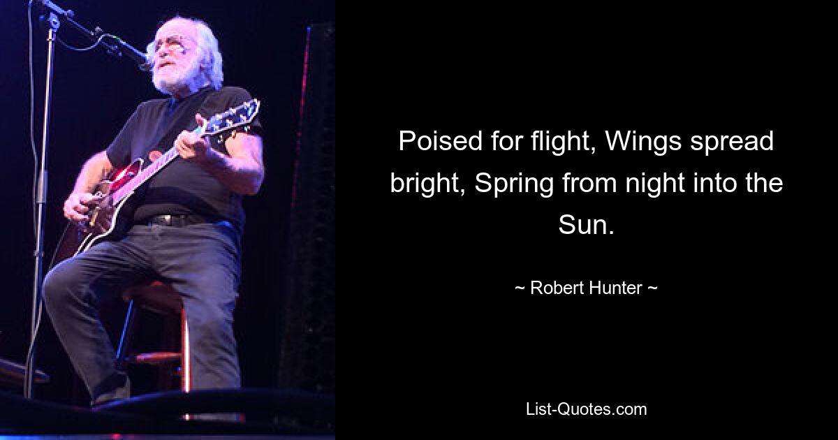 Poised for flight, Wings spread bright, Spring from night into the Sun. — © Robert Hunter