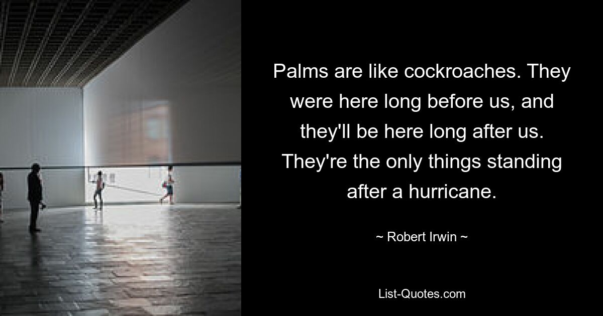 Palms are like cockroaches. They were here long before us, and they'll be here long after us. They're the only things standing after a hurricane. — © Robert Irwin