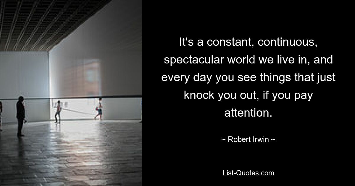 It's a constant, continuous, spectacular world we live in, and every day you see things that just knock you out, if you pay attention. — © Robert Irwin