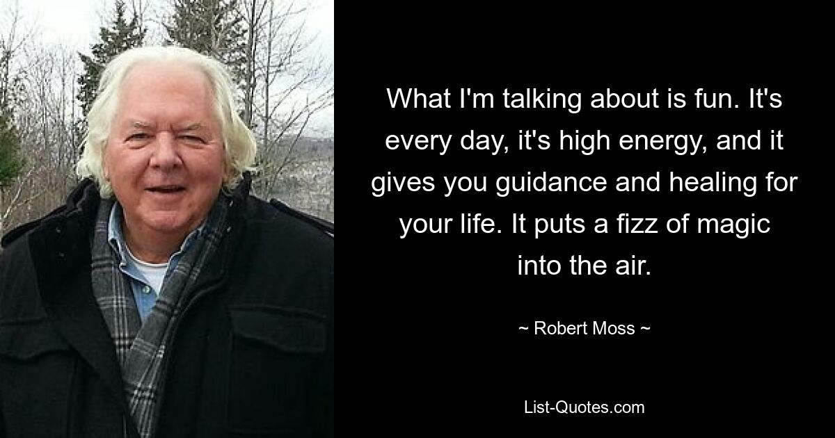 What I'm talking about is fun. It's every day, it's high energy, and it gives you guidance and healing for your life. It puts a fizz of magic into the air. — © Robert Moss