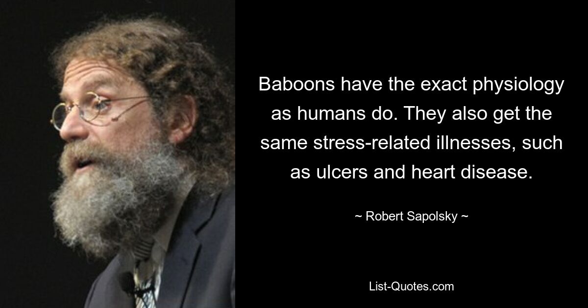 Baboons have the exact physiology as humans do. They also get the same stress-related illnesses, such as ulcers and heart disease. — © Robert Sapolsky