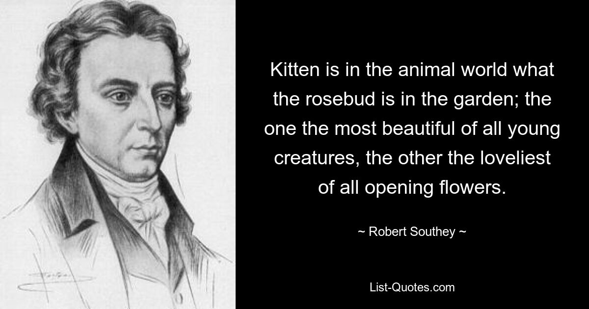 Kitten is in the animal world what the rosebud is in the garden; the one the most beautiful of all young creatures, the other the loveliest of all opening flowers. — © Robert Southey