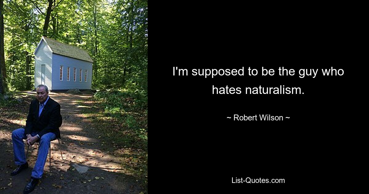 I'm supposed to be the guy who hates naturalism. — © Robert Wilson