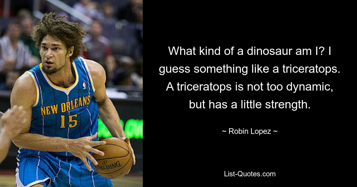 What kind of a dinosaur am I? I guess something like a triceratops. A triceratops is not too dynamic, but has a little strength. — © Robin Lopez