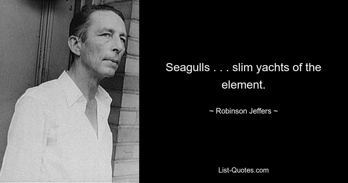 Seagulls . . . slim yachts of the element. — © Robinson Jeffers