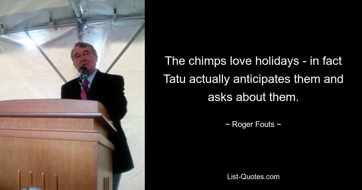 The chimps love holidays - in fact Tatu actually anticipates them and asks about them. — © Roger Fouts