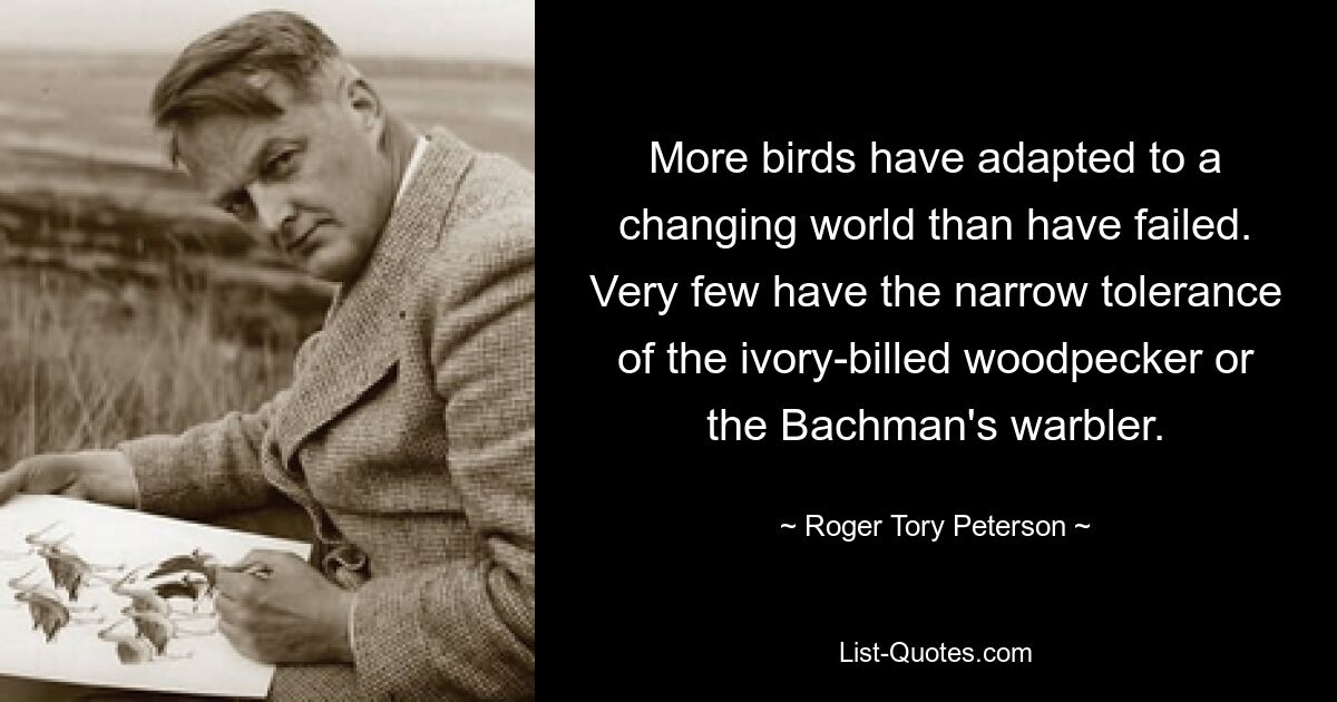 More birds have adapted to a changing world than have failed. Very few have the narrow tolerance of the ivory-billed woodpecker or the Bachman's warbler. — © Roger Tory Peterson