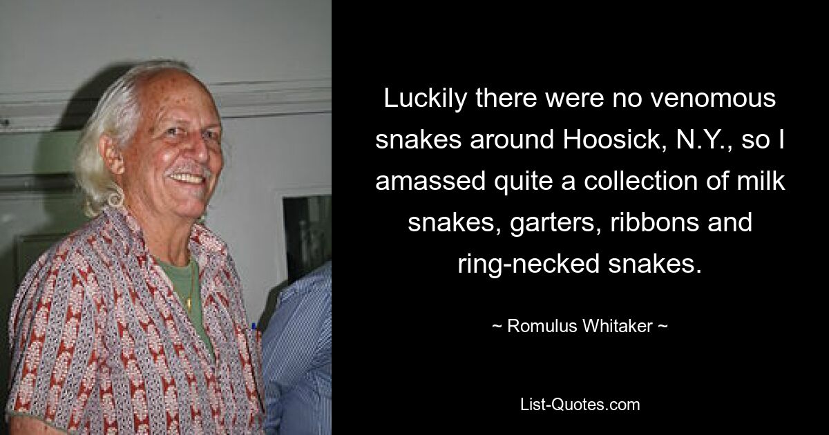 Luckily there were no venomous snakes around Hoosick, N.Y., so I amassed quite a collection of milk snakes, garters, ribbons and ring-necked snakes. — © Romulus Whitaker