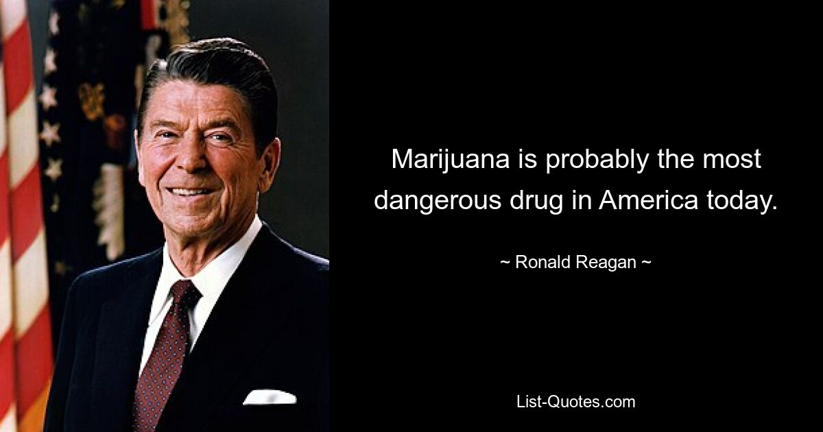 Marijuana is probably the most dangerous drug in America today. — © Ronald Reagan