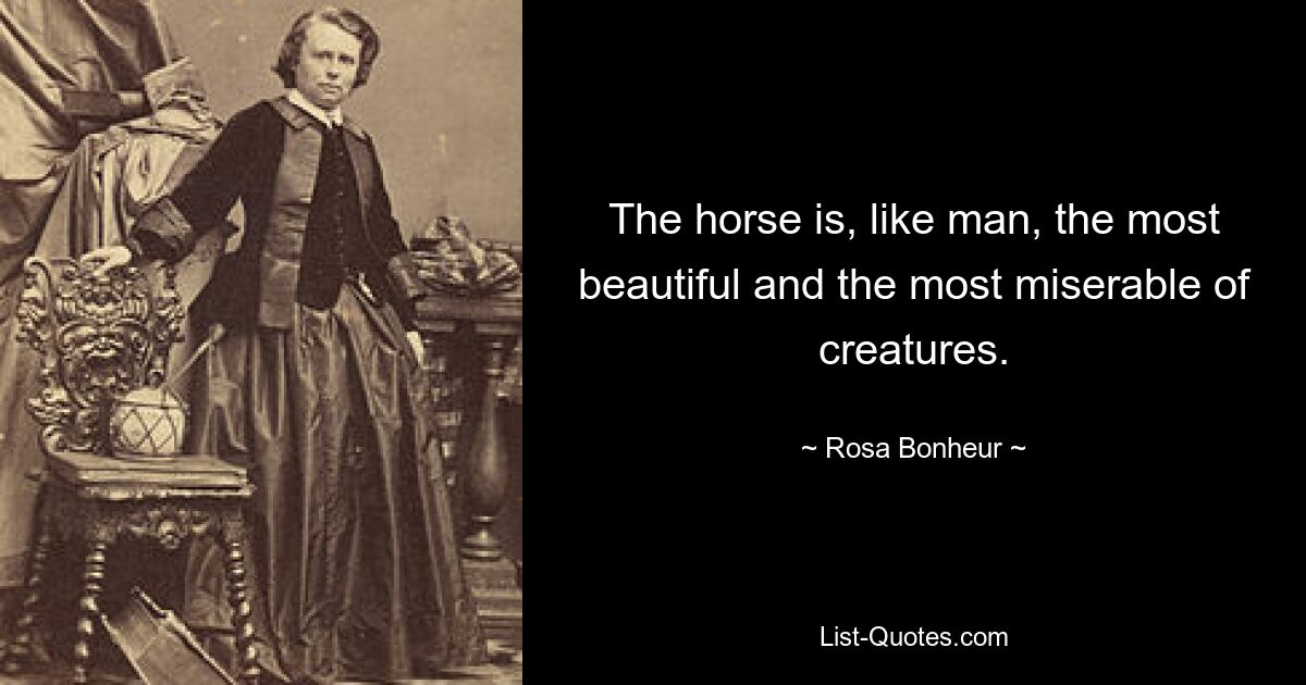 The horse is, like man, the most beautiful and the most miserable of creatures. — © Rosa Bonheur