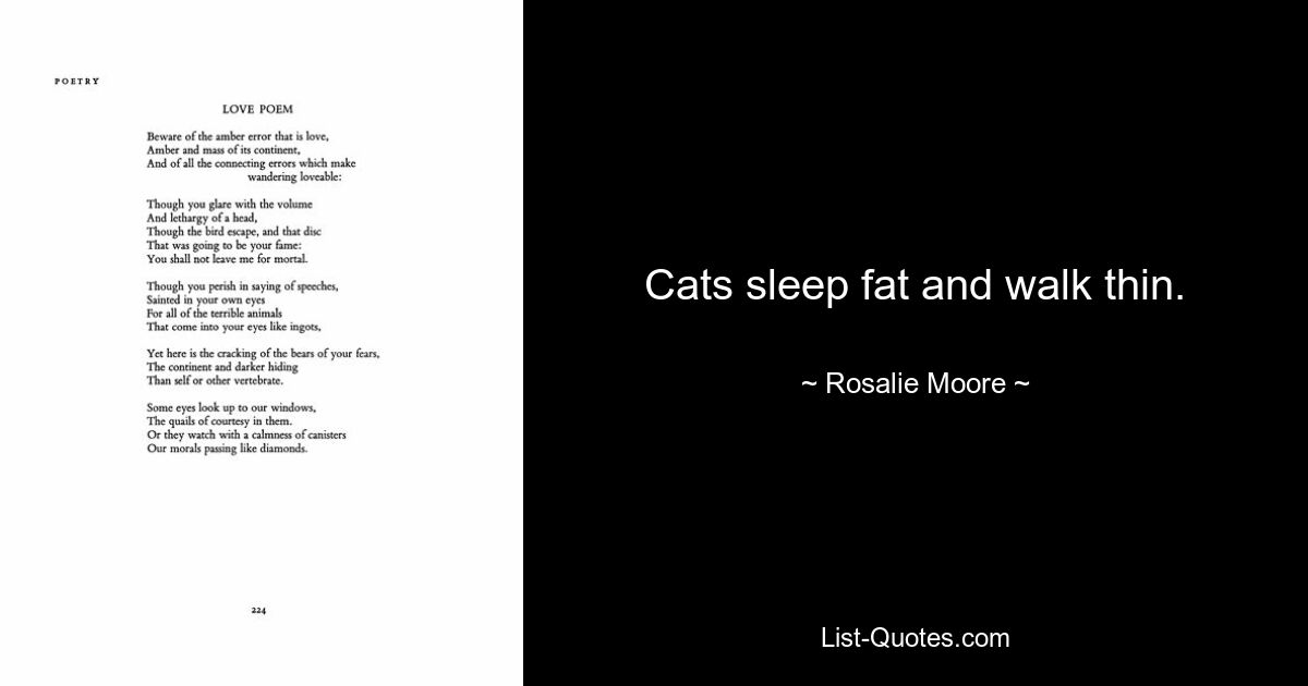 Cats sleep fat and walk thin. — © Rosalie Moore