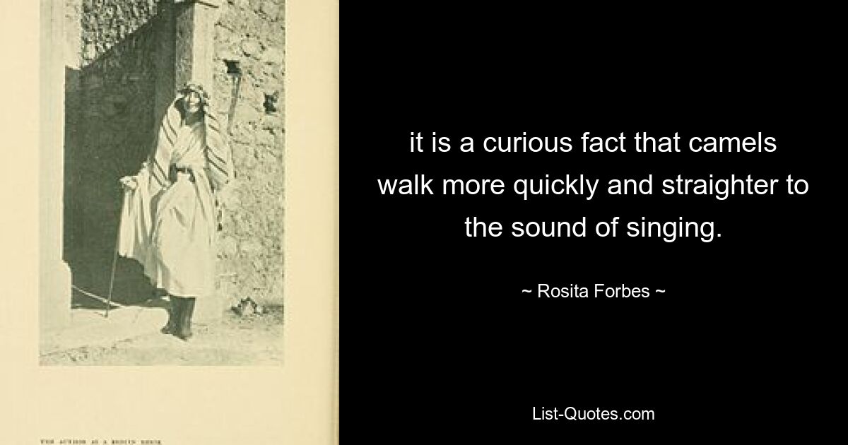 it is a curious fact that camels walk more quickly and straighter to the sound of singing. — © Rosita Forbes